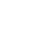 Icono_euro